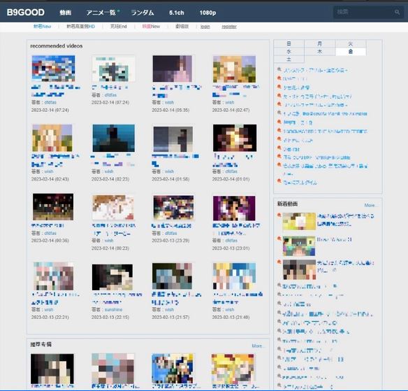 应日方要求查处大型盗版动漫网站 站长江苏落网