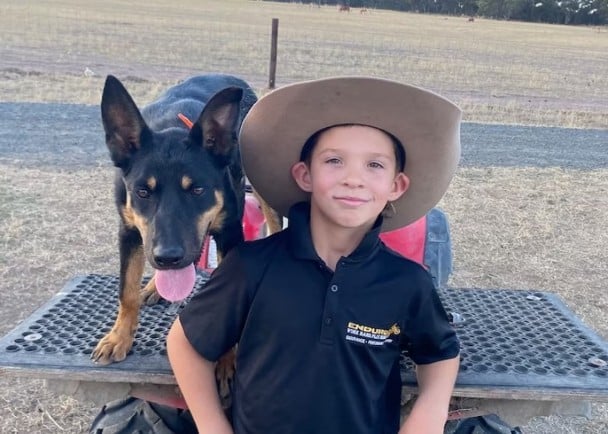 拼盘／8岁男童受父母启发　亲自训练及出售工作犬