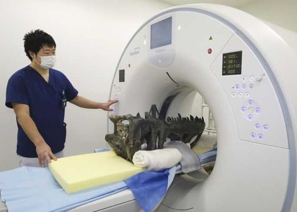拼盘／医用电脑扫描分析恐龙化石　福井县立大学创先河