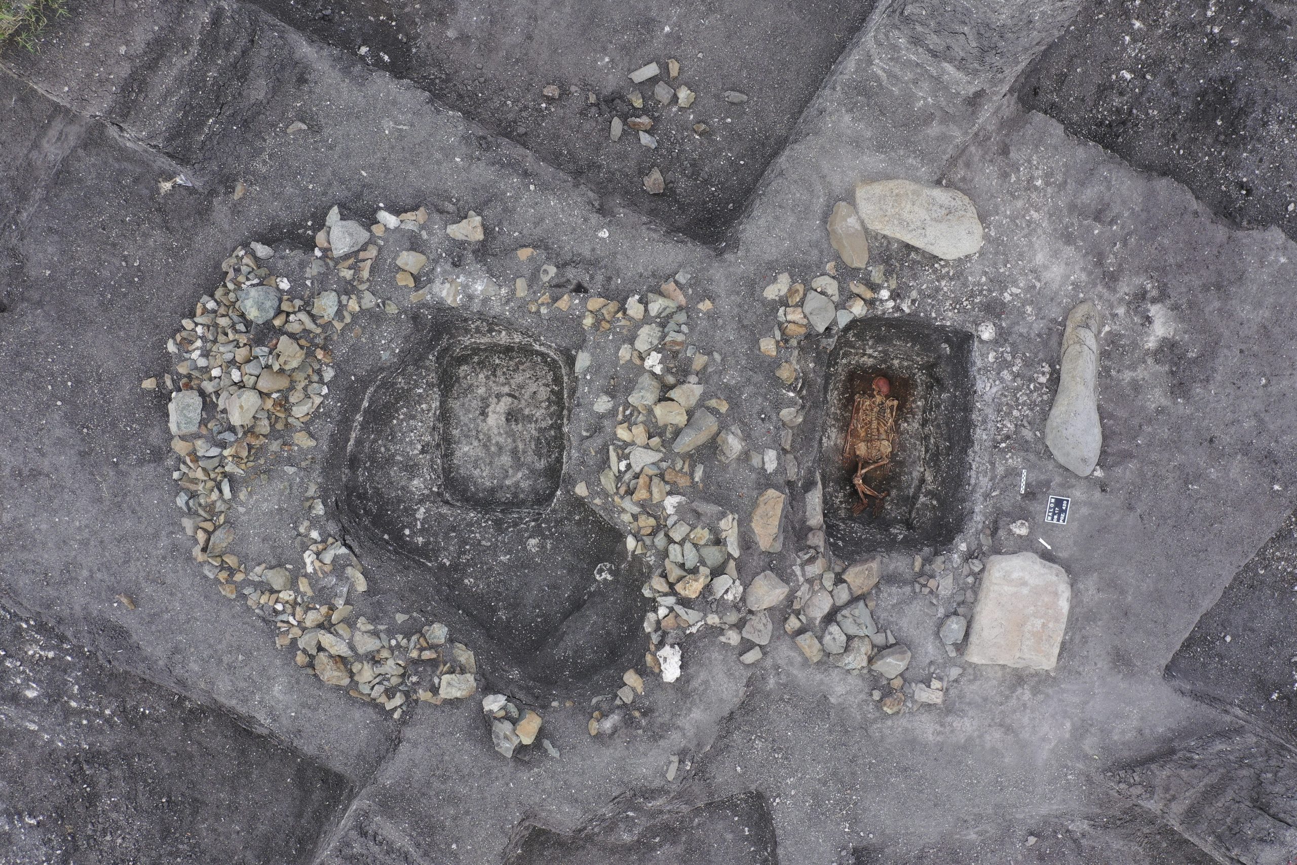 拼盘/新研究:人类骑马最早证据可追溯到约5000年前