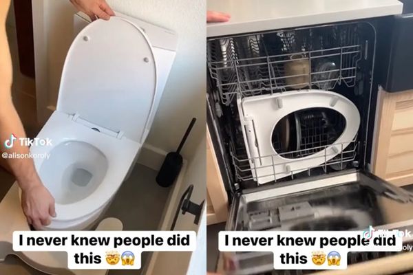 拼盘/网红拆掉马桶坐垫丢进洗碗机! 网友全看傻眼:恶心死了
