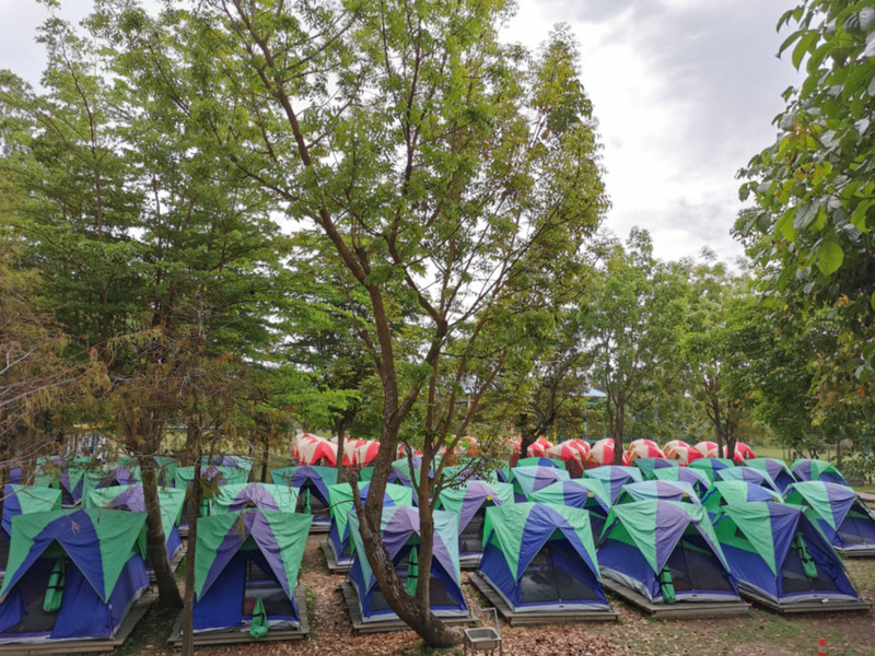 拼盘／高雄一小学露营　逾300名学生遭罚跪