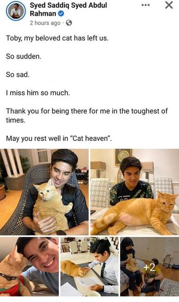 指赛沙迪爱猫“太肥难怪早死” 郭素沁留言惹网怒