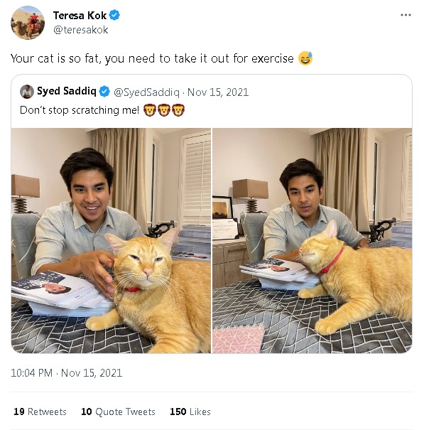 指赛沙迪爱猫“太肥难怪早死” 郭素沁留言惹网怒