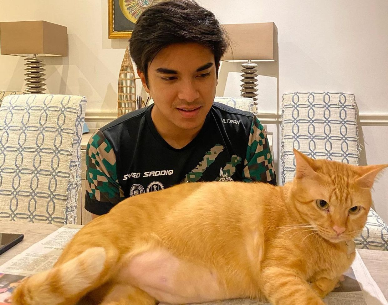 指赛沙迪爱猫“太肥难怪早死” 郭素沁留言惹网怒