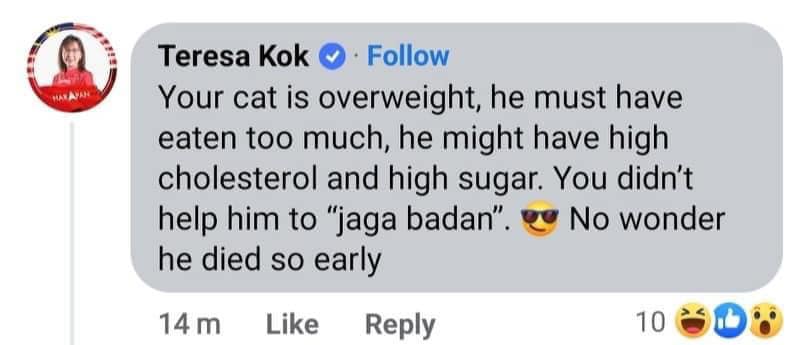指赛沙迪爱猫“太肥难怪早死” 郭素沁留言惹网怒