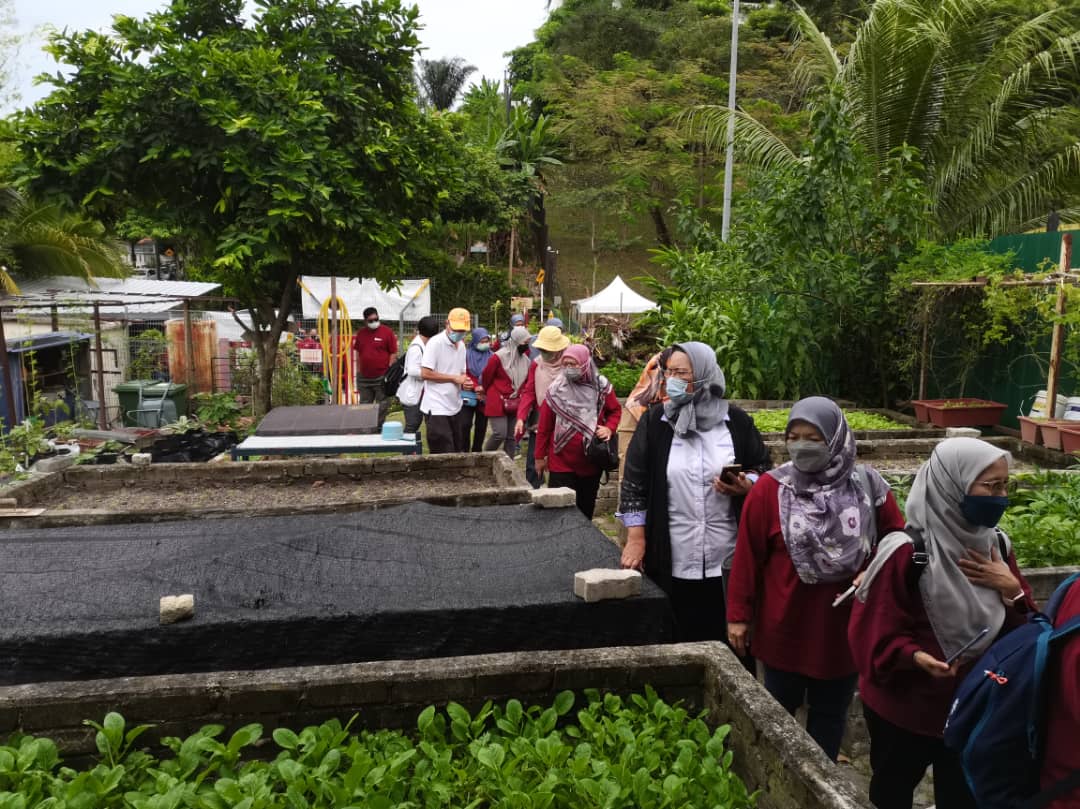 早报可做后面版头//大都会/双威SPK白沙罗荣获DBKL五星级社区菜园奖