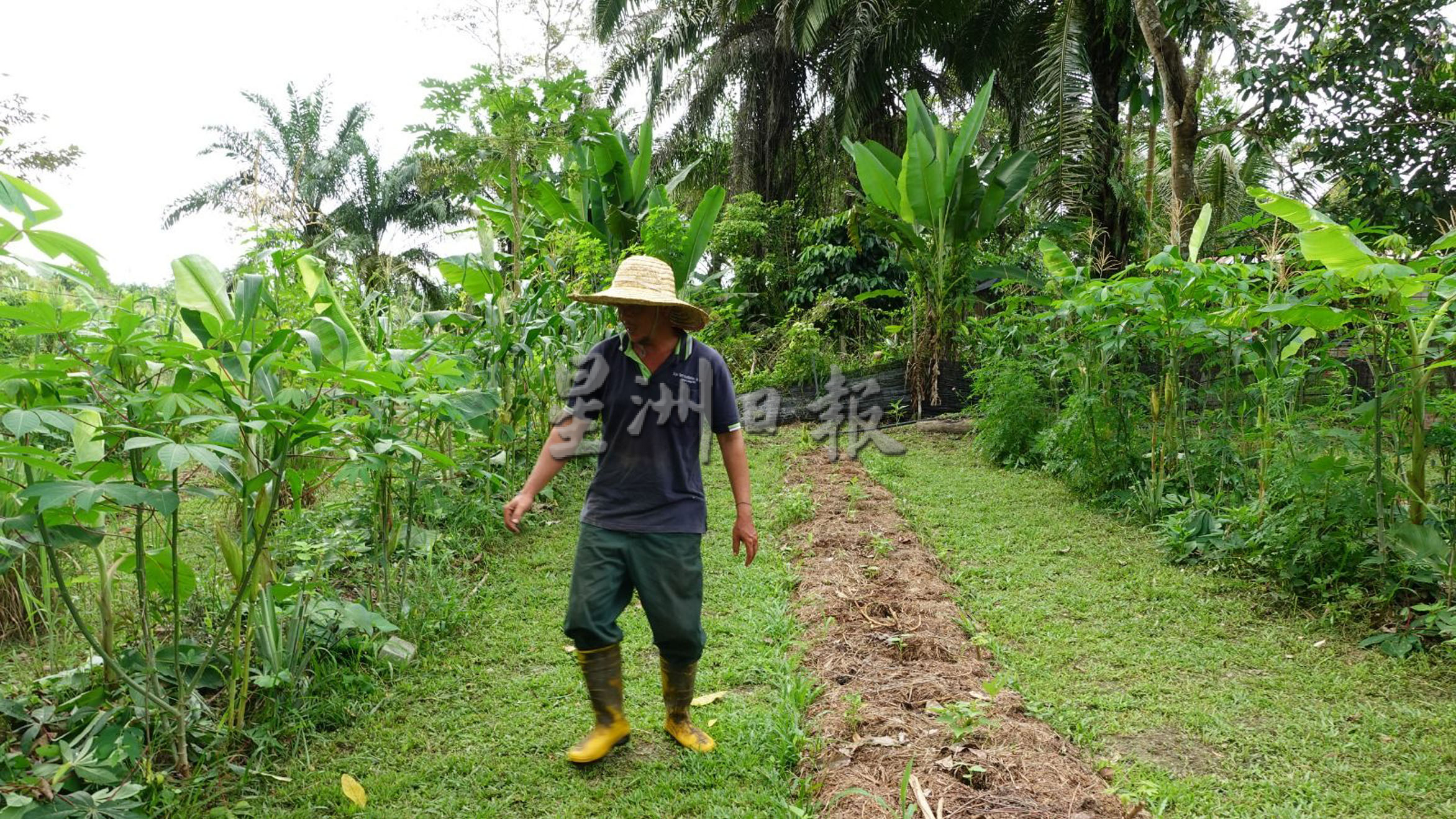 暖势力【被遗忘的弱势群1/3】跋山涉水突破心防 · 援助原住民挑战大