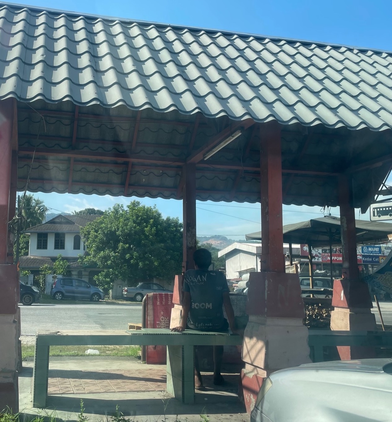 曾流落候车亭逾70天 “杰逊哥哥”走了