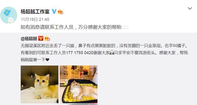 杨超越人品崩盘 被爆弃养宠物