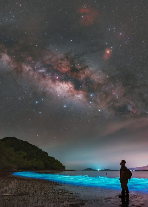 追星的人──陈史丹