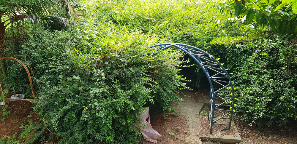 柔:版头之一:新闻:古来21哩缓冲池行人桥失修