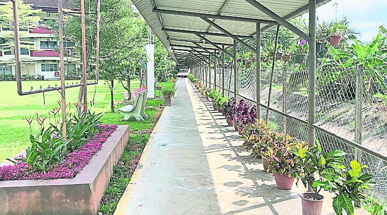 柔:第二版头条:善心美事:欧金全回母校当义工