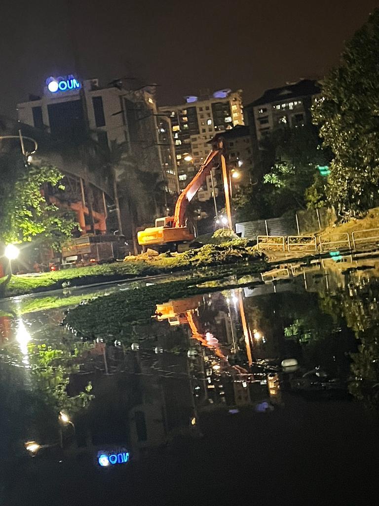 格拉那再也城市公园 逾半月清不完浮萍