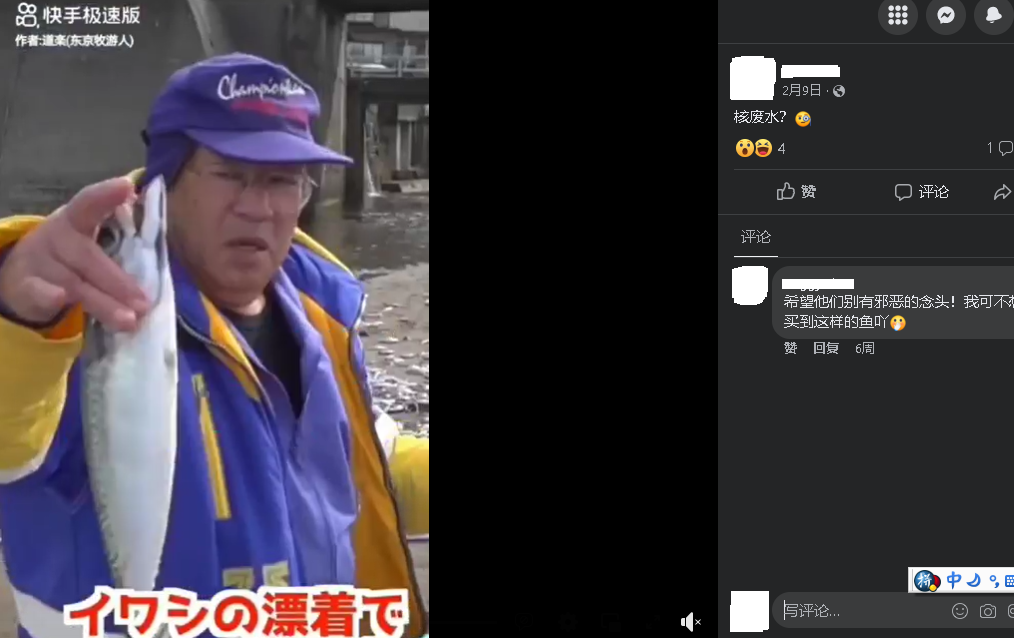 求真:日本沙丁鱼集体暴毙因核废水排放?