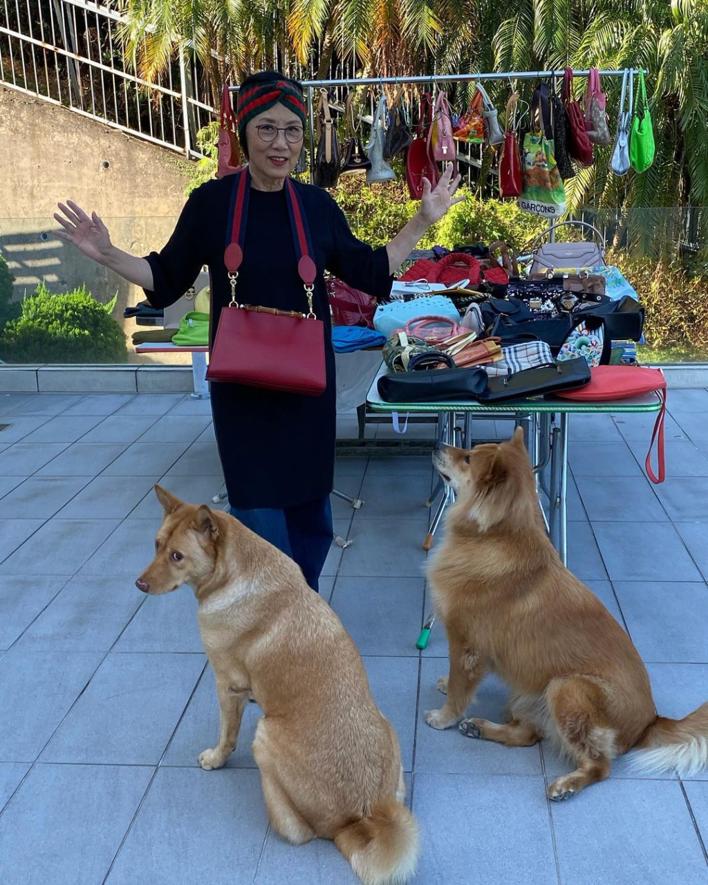  汪明荃晒咸鱼式保养包包  解锁新技能遭误例行晒包