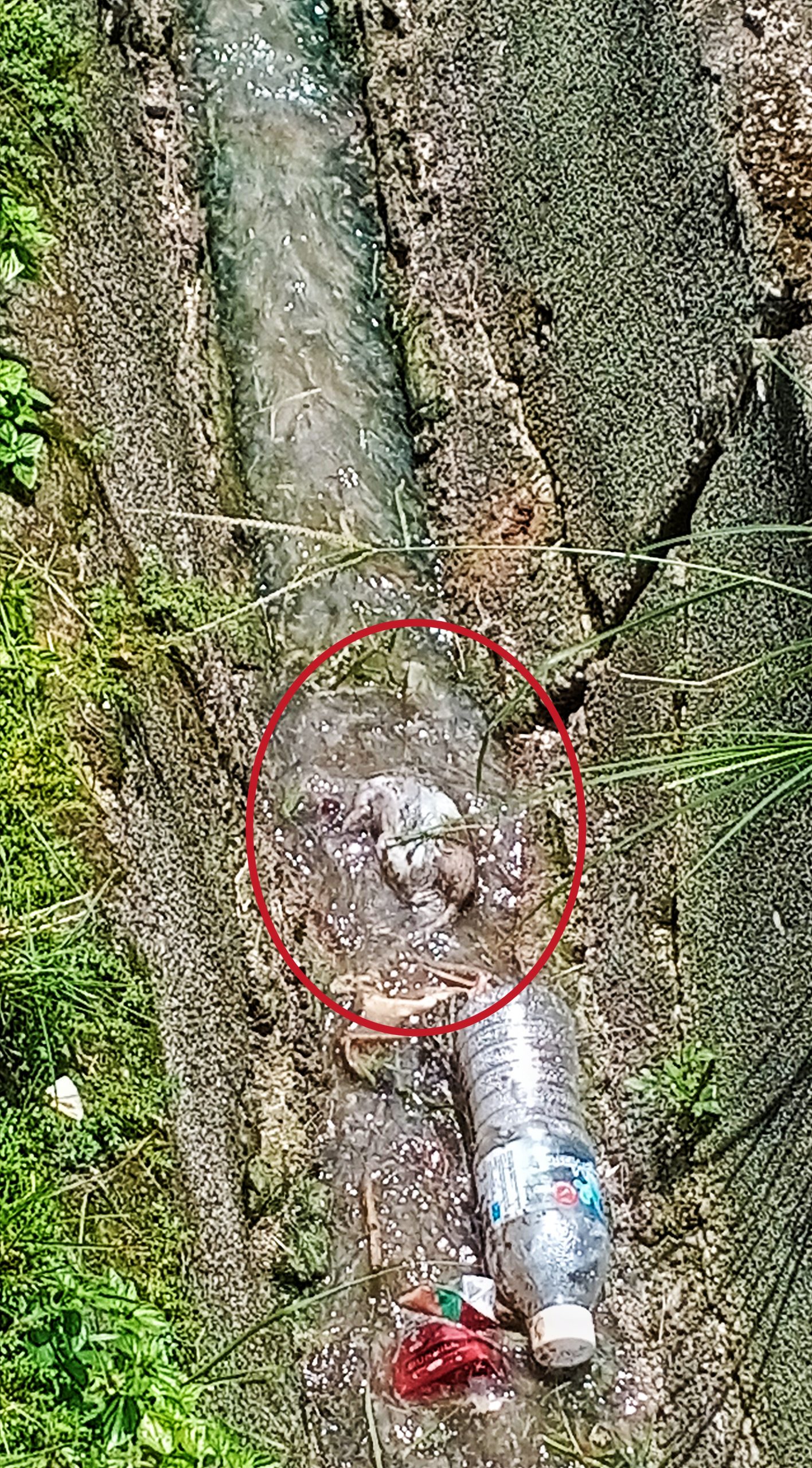 沙登新村第3区6路 沟塞路洞问题严重