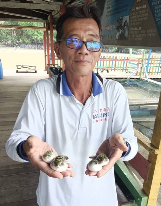渔民渔商:不卖鸡腿鱼 警惕“漏网之鱼”免中毒