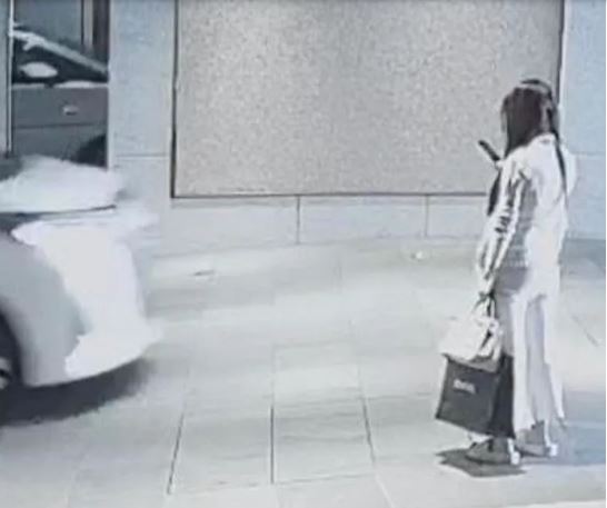 港名媛碎尸案/ 蔡天凤梦幻爱马仕双色柏金包助警破案