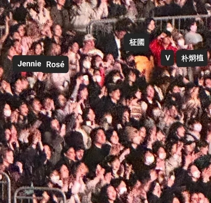 爆交往后首度同框 Jennie V看演唱会坐同排