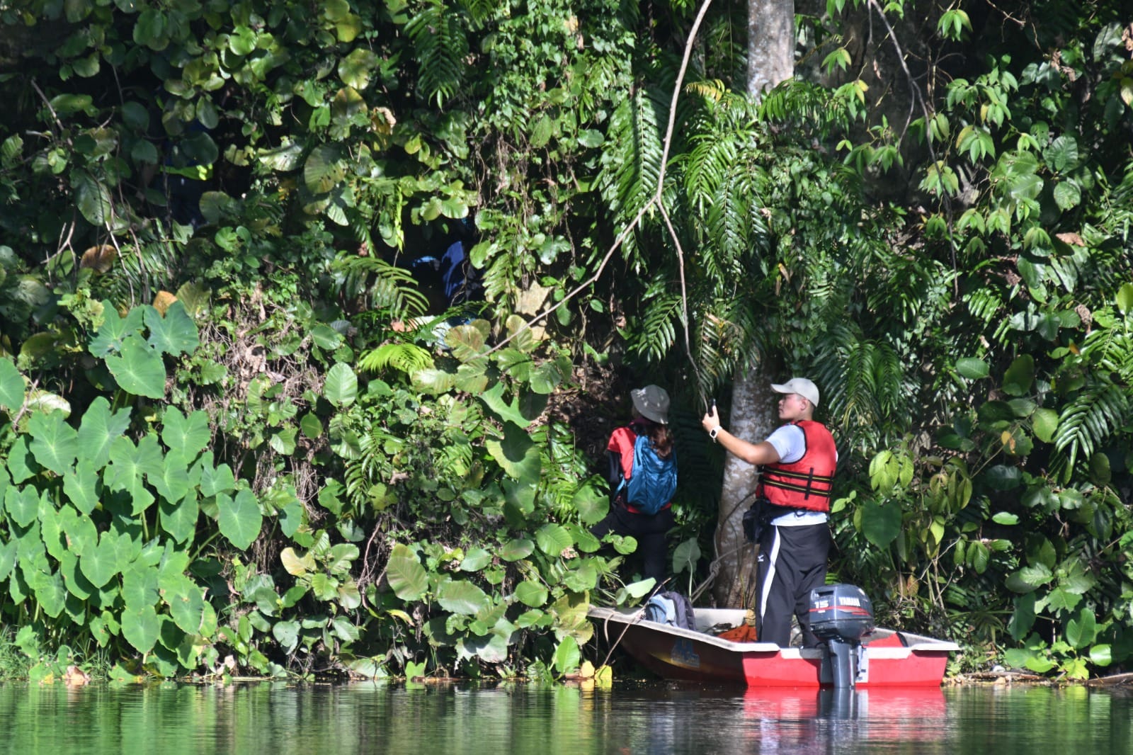 独家|浪浪受困峭壁上 爬山者8小时英勇救下!