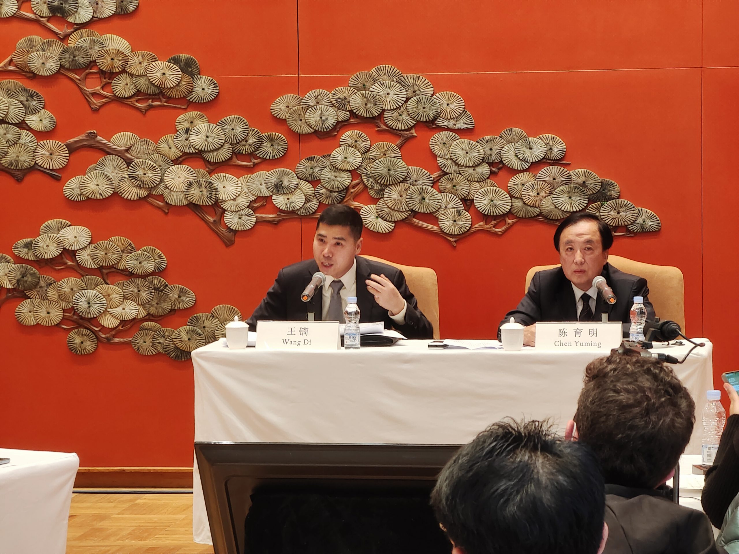 王镝谈沙伊复交 “中国是帮助非干预”