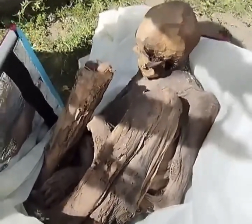 男将800岁木乃伊当女友 专家惊揭是男尸