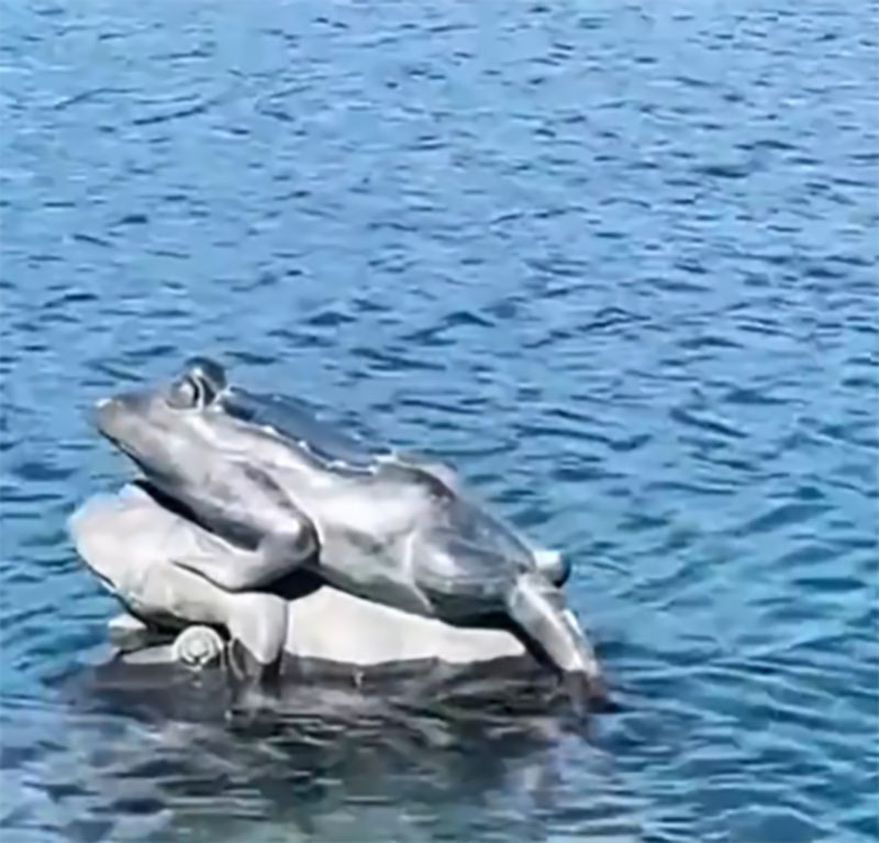 看世界／台湾日月潭水位创新低 九蛙叠像全部露出