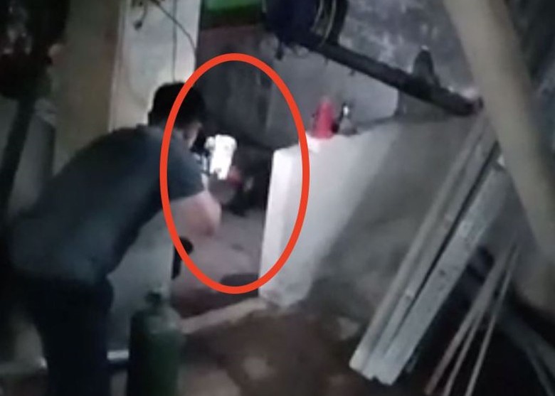 看世界/桃园狒狒遭猎枪击中死亡挨批 市长:依法惩处