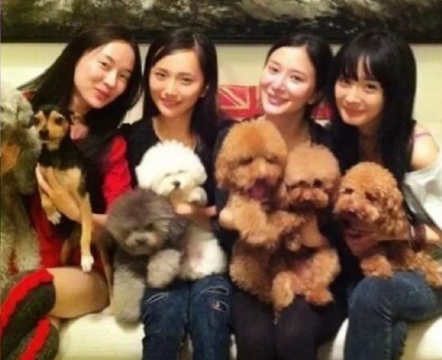 秦岚疑认爱魏大勋沉默 网心疼：又遇渣男