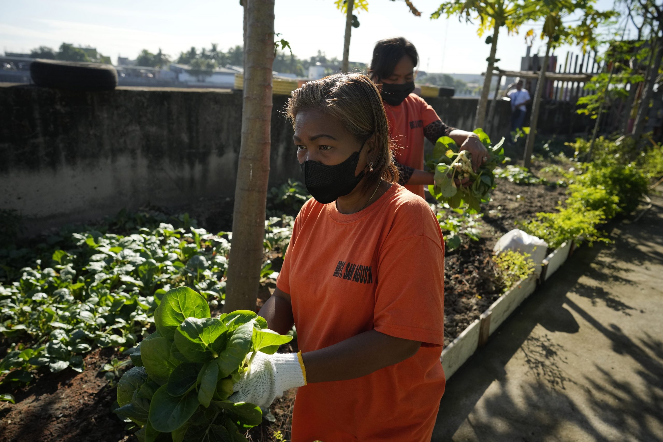 绿量无穷／拾荒者收集有机垃圾  协助对抗气候变化