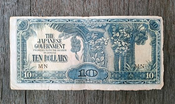 蔡羽／变成废纸的香蕉钱