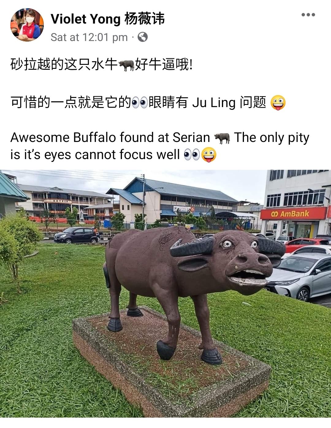 西连水牛一夜爆红