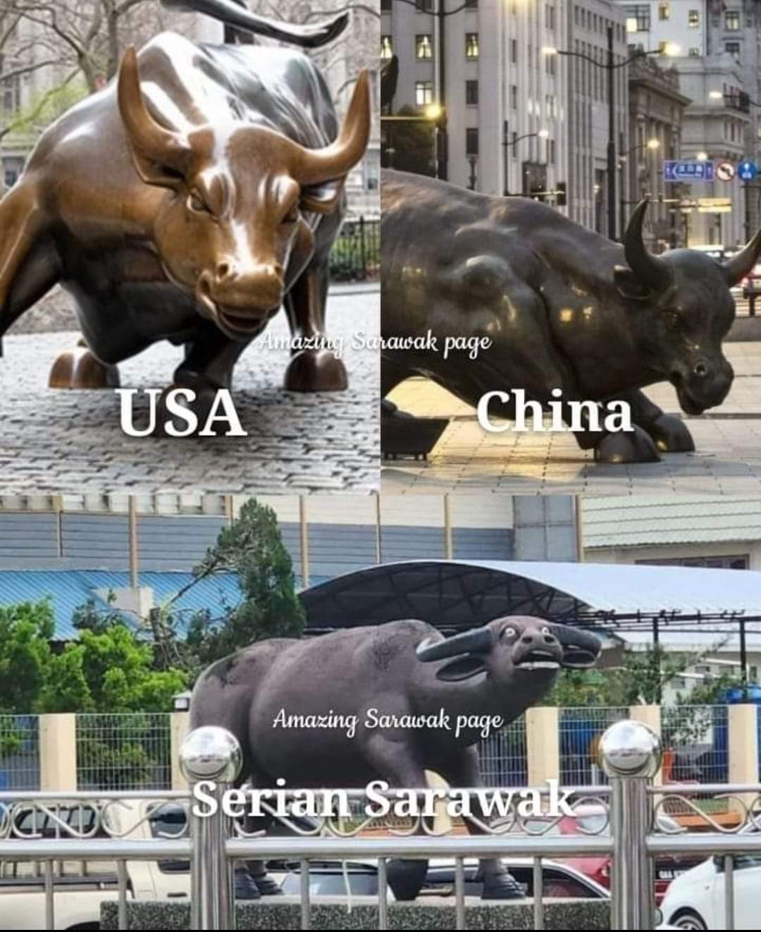 西连水牛一夜爆红