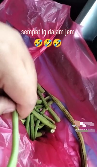 视频|不想浪费一点时间 女:边塞车边拔长豆