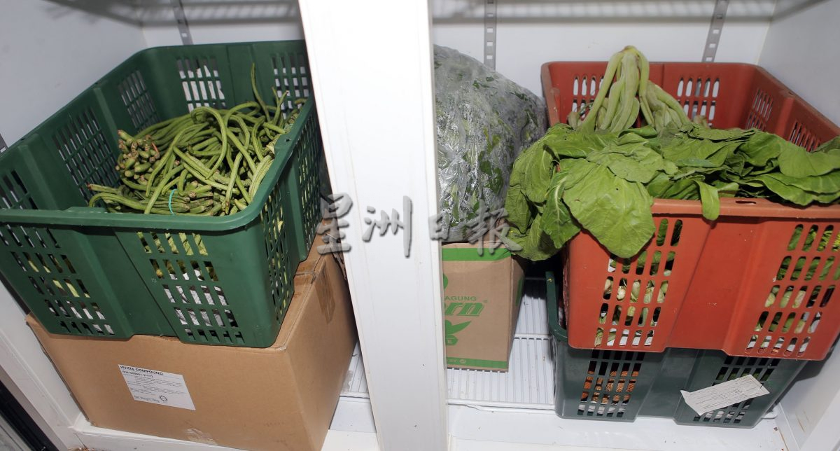 适逢斋戒 产增价跌 慈善机构获大量赠菜