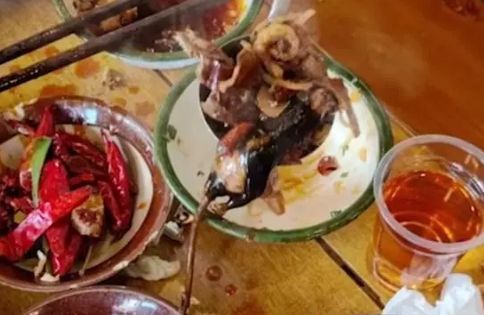 锅吃一半捞出“脱皮老鼠”!老板见警察到场反呛:顾客自己放的