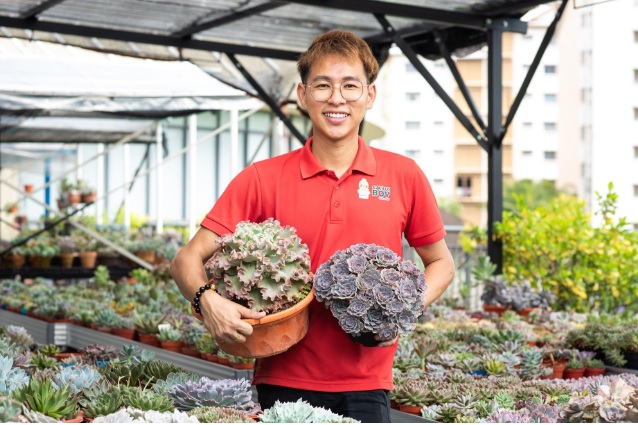 霹:首个多肉植物展销会3月31日至4月2日怡保百利广场举行