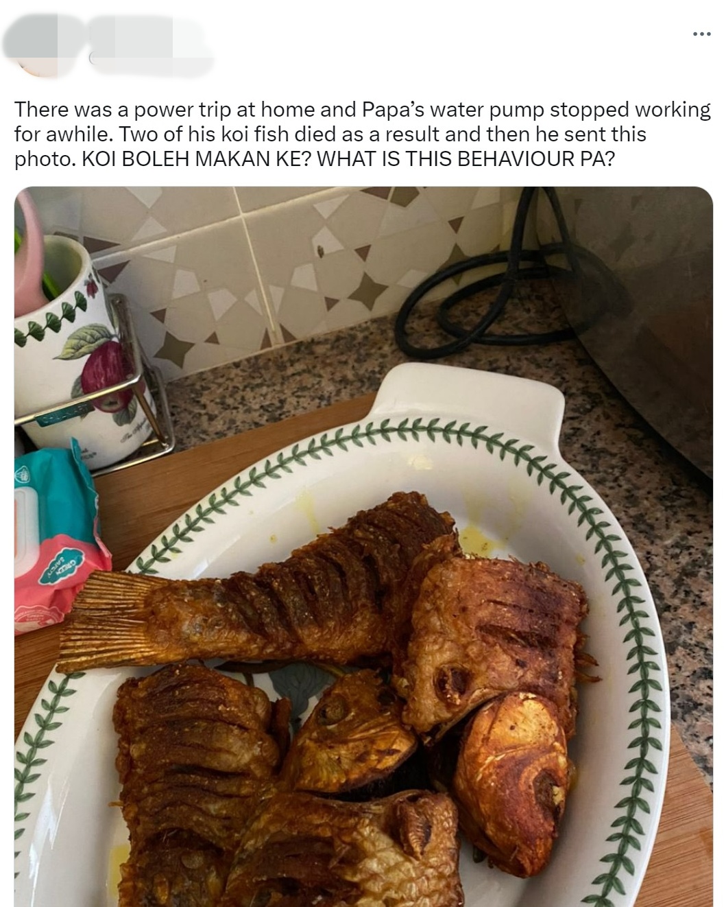 鲤鱼死了父母竟炸来吃·一句“丢掉很浪费”令女儿抓狂