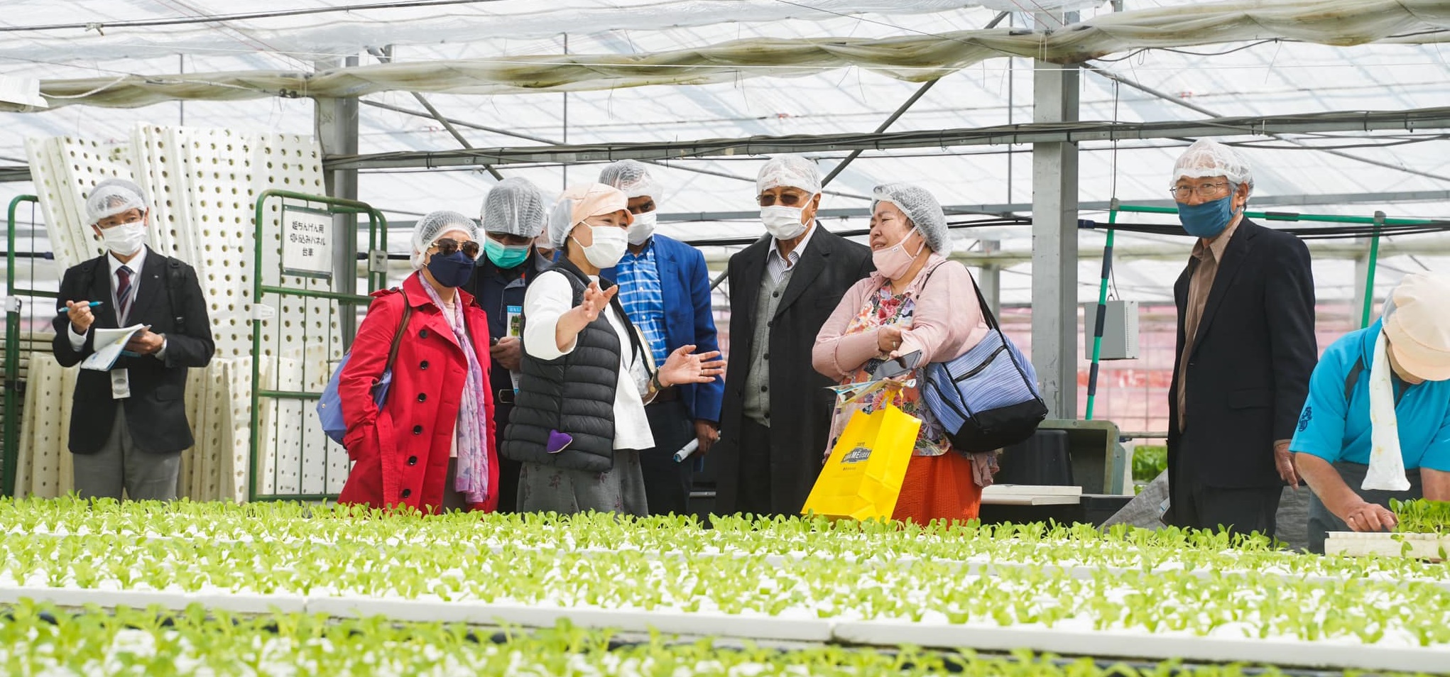 （全国版）前首相敦马哈迪到访日本静冈市，对于当地农业领域的进步，留下深刻印象。