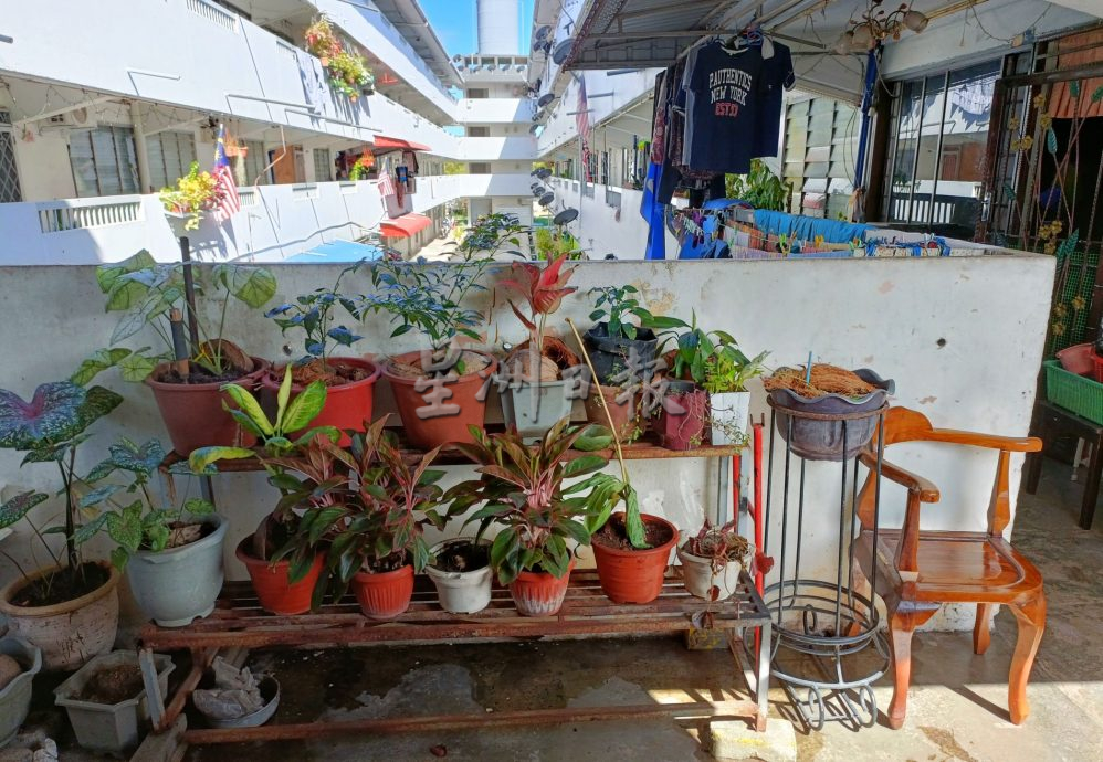 （古城封底主文）【带你去找爱】：组屋绿植的爱