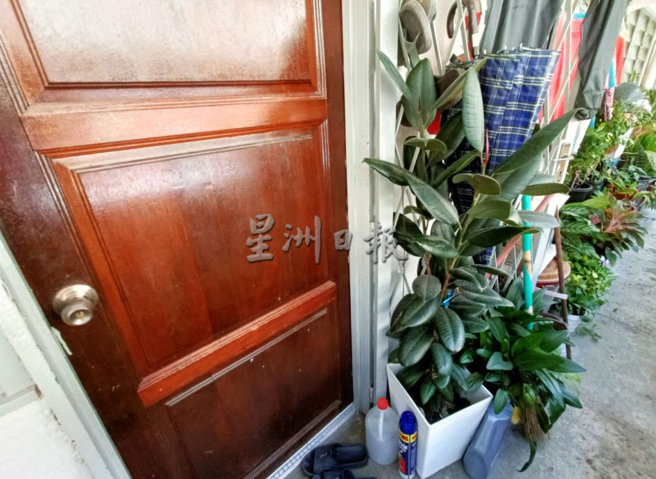（古城封底主文）【带你去找爱】：组屋绿植的爱