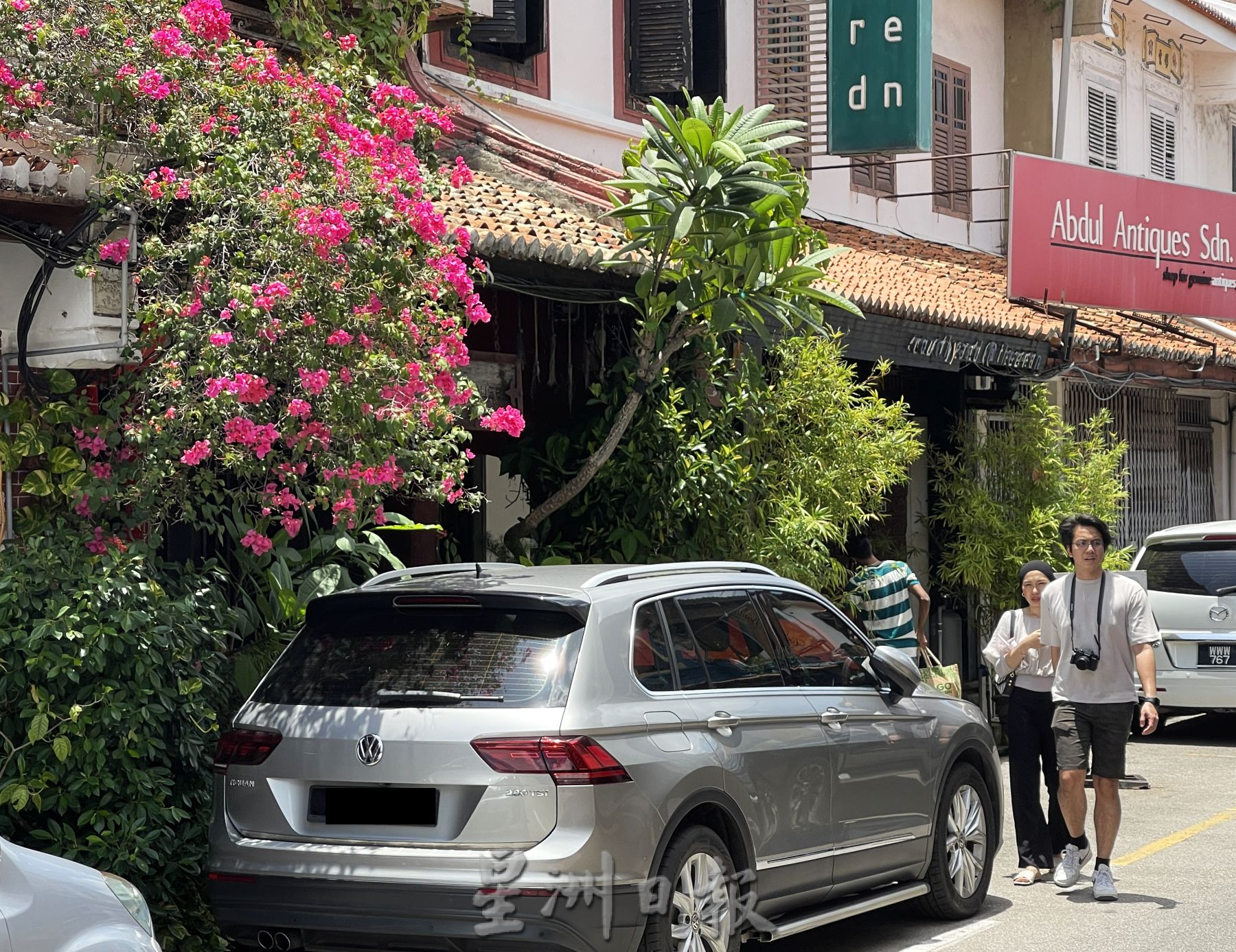(古城封底主文)【带你去找爱】:荷兰街绿植的爱