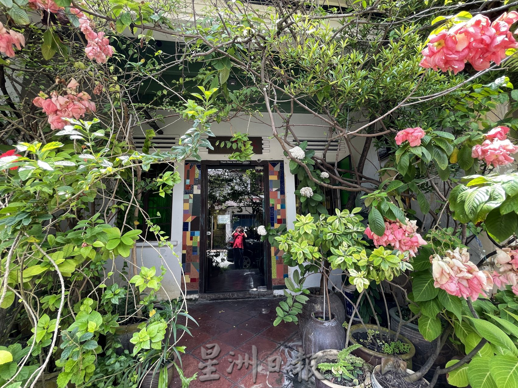 （古城封底主文）【带你去找爱】：荷兰街绿植的爱