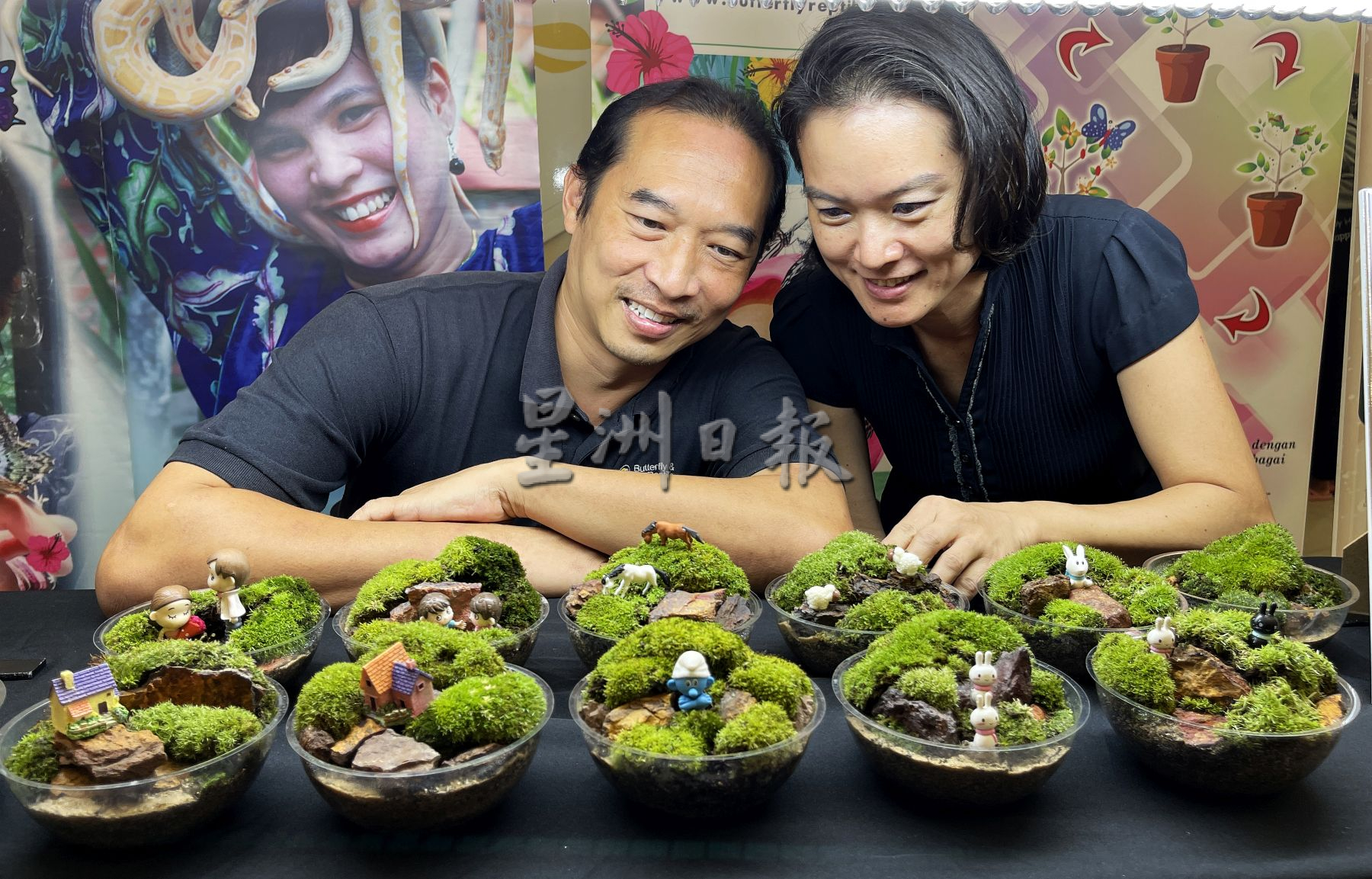 养一盆“掌上花园”·让绿意疗愈心田