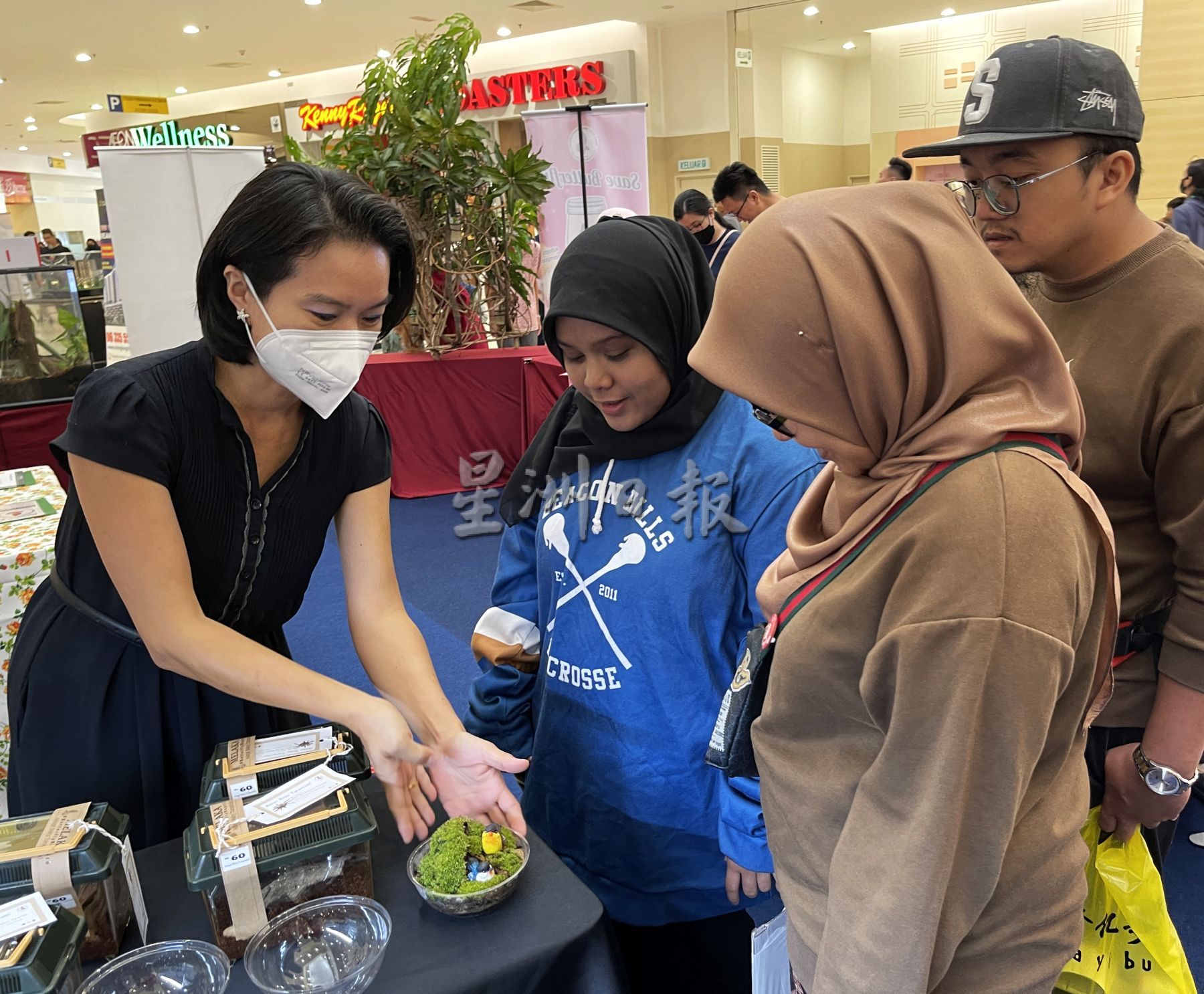 养一盆“掌上花园”·让绿意疗愈心田