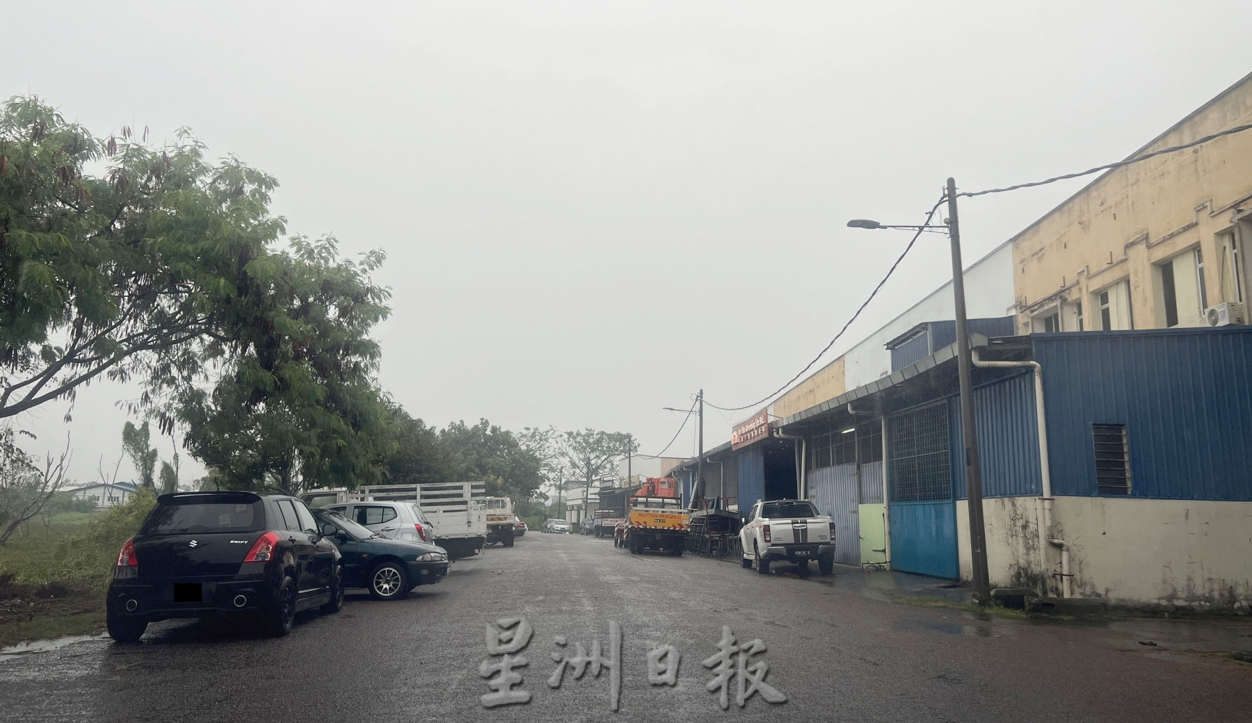 （古城封面主文）忧喂老虎 民众放生野猴·市议员：别听信谣言