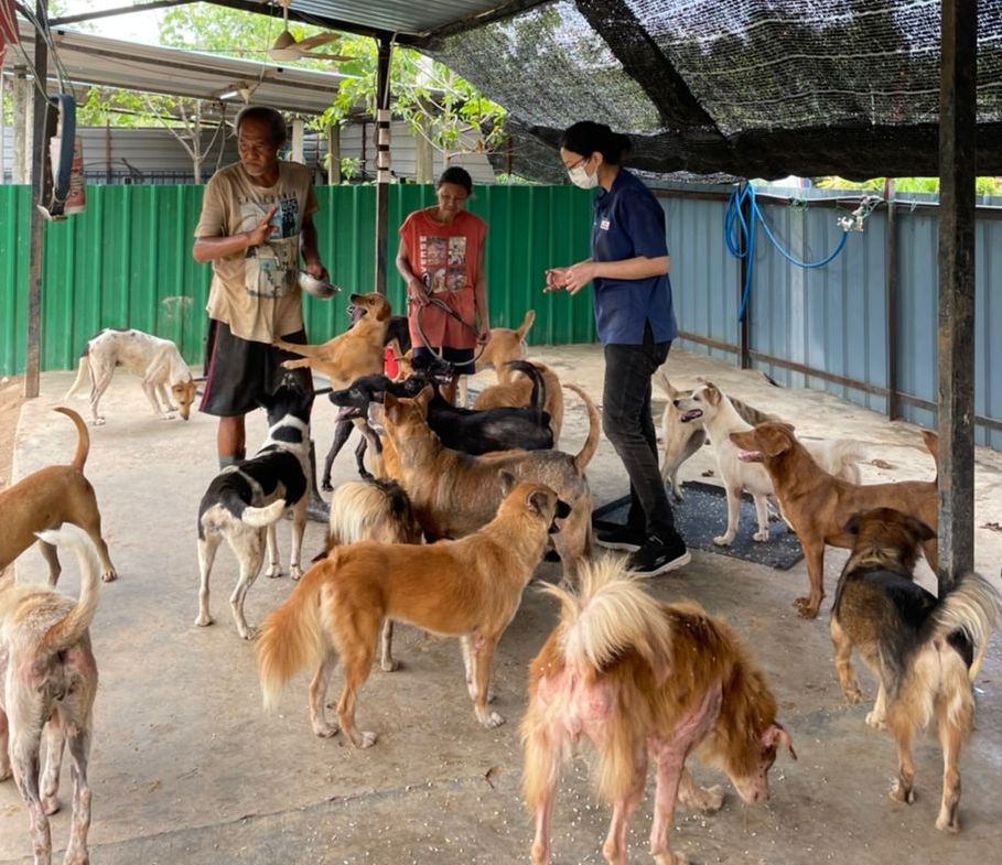 (古城封面主文)甲州爱猫狗组织及个人呈备忘录盼政府成立“流浪猫狗庇护所” 俾猫狗有更好的生活环境