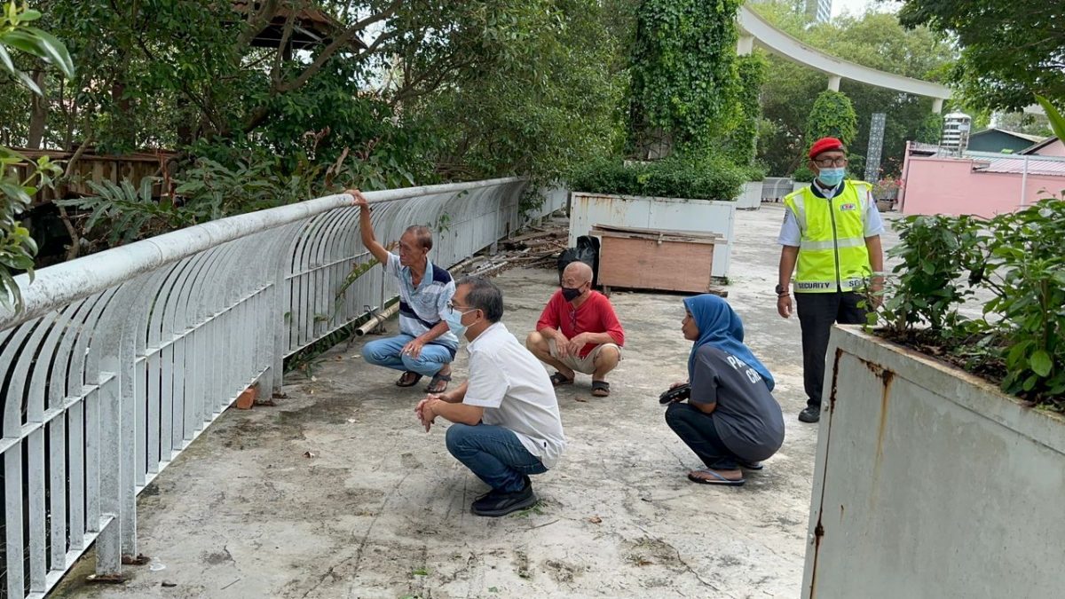 (古城封面主文)甲河畔鳄鱼出没 民众受促警惕