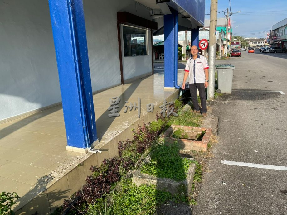 （古城版）野草长满水沟